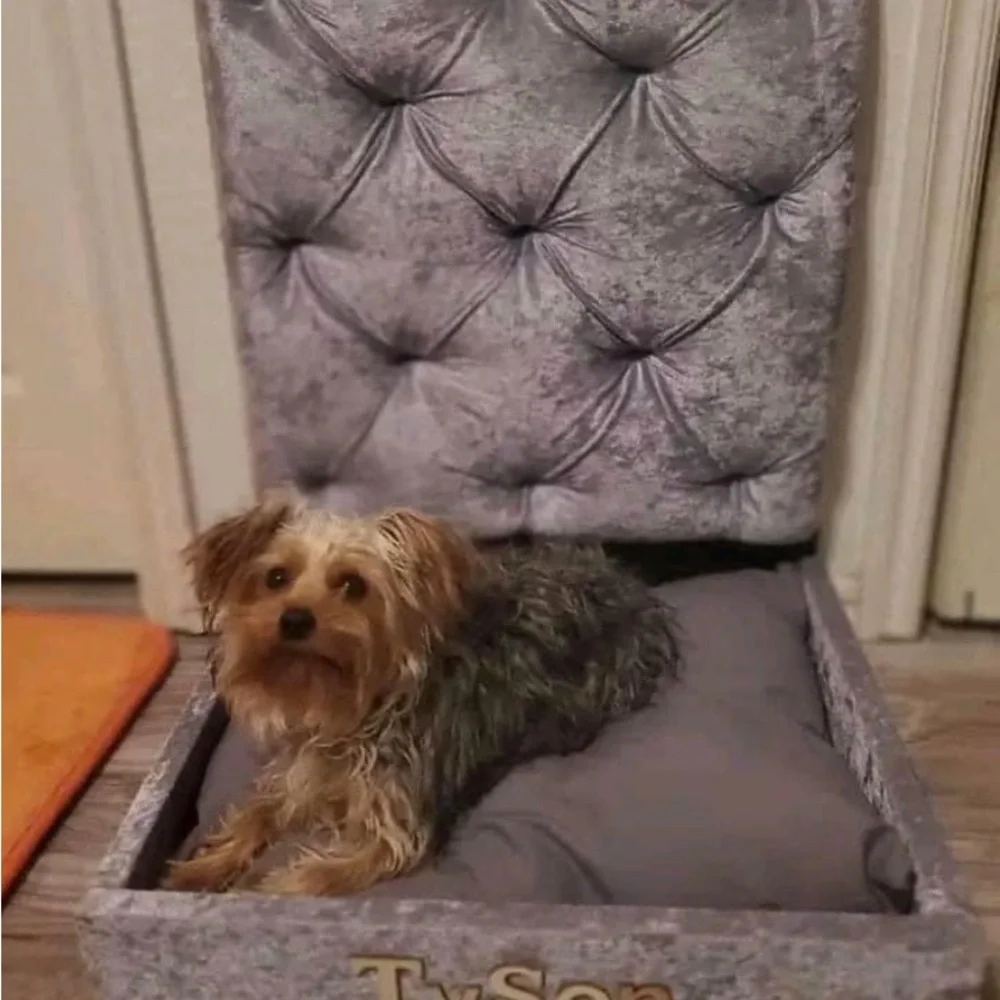 Customized dog beds